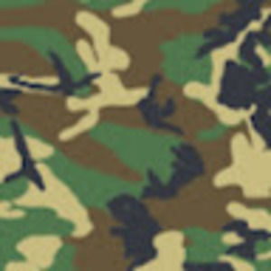 Meet your Posher, Shin